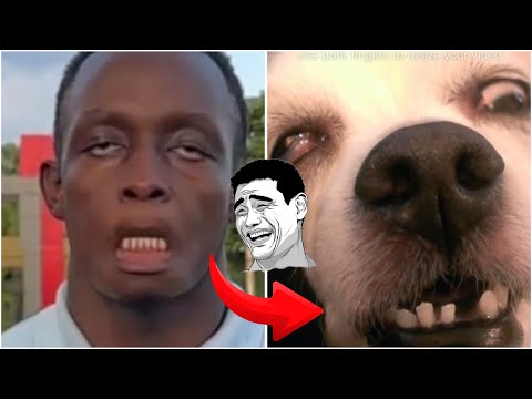 Funny TikTok trend - Jump in Slow motion - laugh till you fart 😂