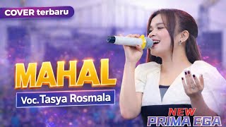 Download lagu MERDU SEKALI !! MAHAL - TASYA ROSMALA | NEW PRIMA EGA LIVE TEGAL PESURUNGAN 3 APRIL 2026 mp3 Download lagu MERDU SEKALI !! MAHAL - TASYA ROSMALA | NEW PRIMA EGA LIVE TEGAL PESURUNGAN 3 APRIL 2026 mp3