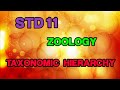 11th Std ZOOLOGY Class 11 TAXONOMIC HIERARCHY Online School Online Classes E Learning Education