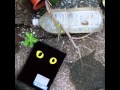 黒猫チェルシ (Kuroneko Chelsea) - FUNKY GIRL 