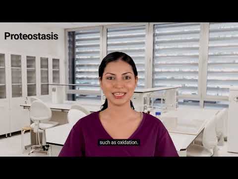 Proteostasis | What is proteostasis | Loss of proteostasis in aging