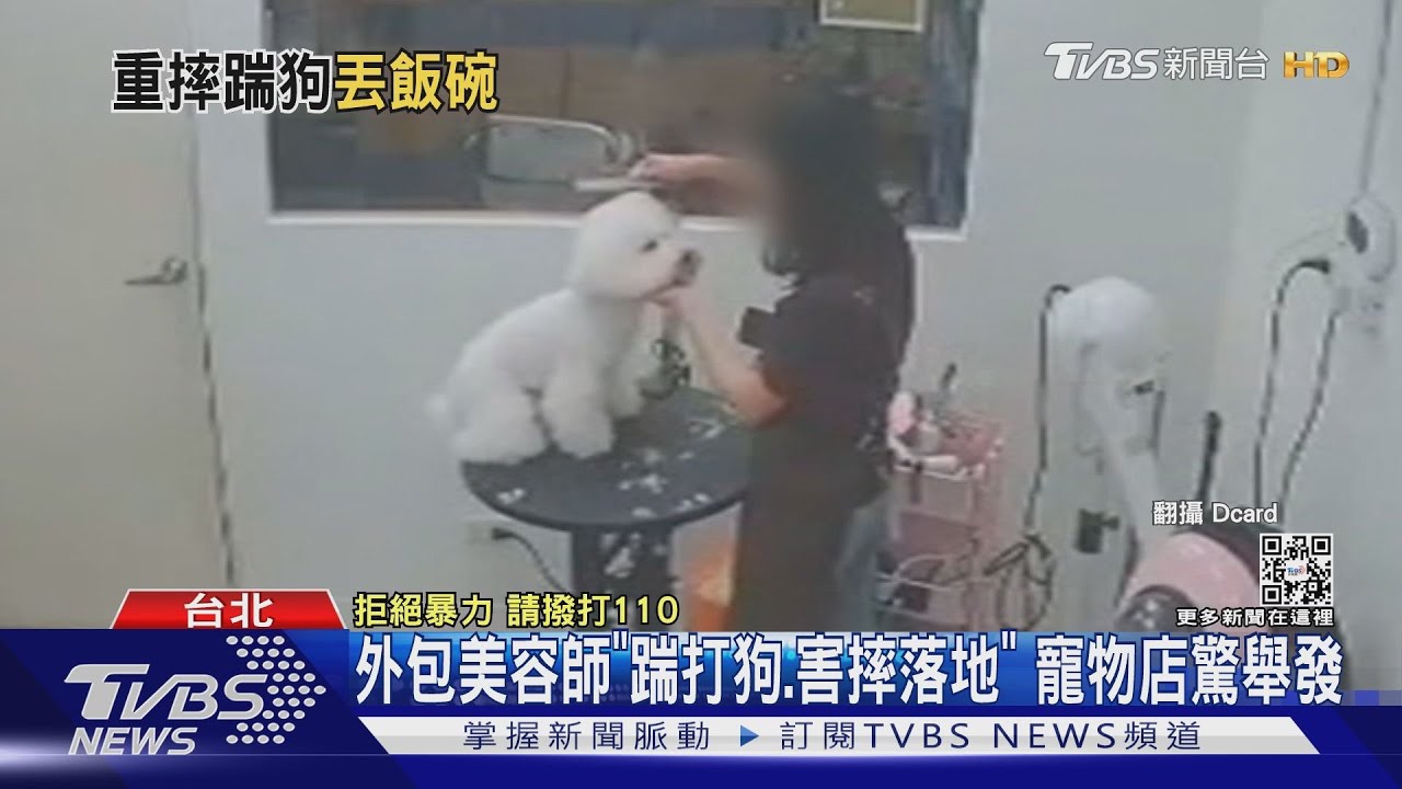 外包美容師「踹打狗、害摔落地」 寵物店驚舉發