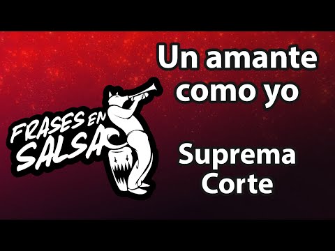 Un amante como yo Letra - Suprema Corte (Frases en Salsa)