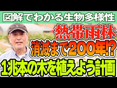 熱帯雨林の回復は予想よりも遅い