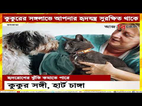পোষ্য হিসেবে একটি কুকুর সঙ্গী, হার্ট চাঙ্গা! A pet dog will keep your heart problems at bay