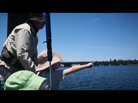 Tathra Fishing January 2019