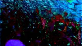 SixteenarmedJack - Papua New Guinea - Dubstep mix  - TalixZen Video