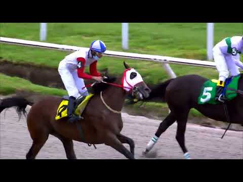 220205 c05 - NOCHE ALEGRE - HIPODROMO MAROÑAS