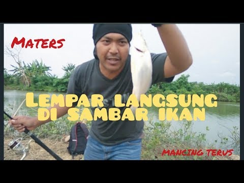 BARU LEMPAR UMPAN LANGSUNG DI SAMBAR IKAN SAMGE