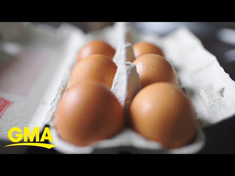 US faces egg shortage ahead of 2025