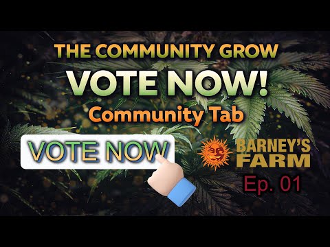 The Community Grow — Episode 1 (Day 6)