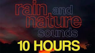 10 Hours - RELAXING Rain and Nature Sounds - Crickets Frogs Rainfall - HD