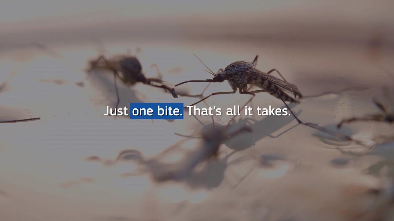 Dengue Outbreak: A Race to Save Lives