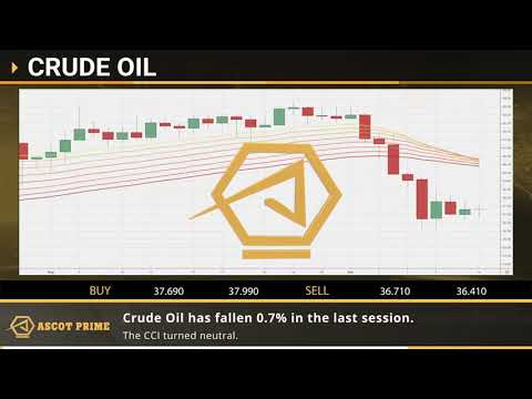 Ascot Prime - Daily financial news 15.09.2020