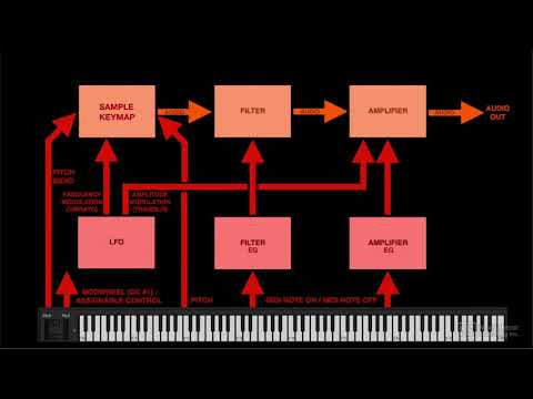 Free Download Sampler, Quick Sampler and Auto Sampler TUTORiAL