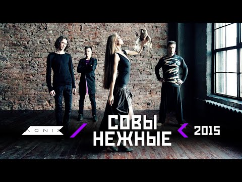 AGNIX — Совы нежные