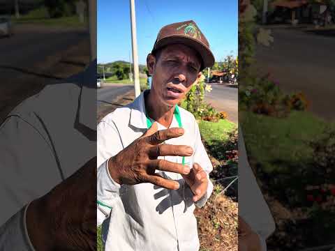 Vem novidade por aí na cidade mais bonita de Goiás #flores