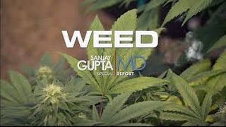 Full CNN Documentary Weed Parts 1-3 (2013-2015)