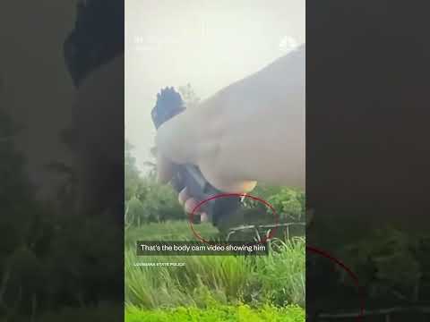 Man gets bitten by alligator after jumping in swamp to escape police