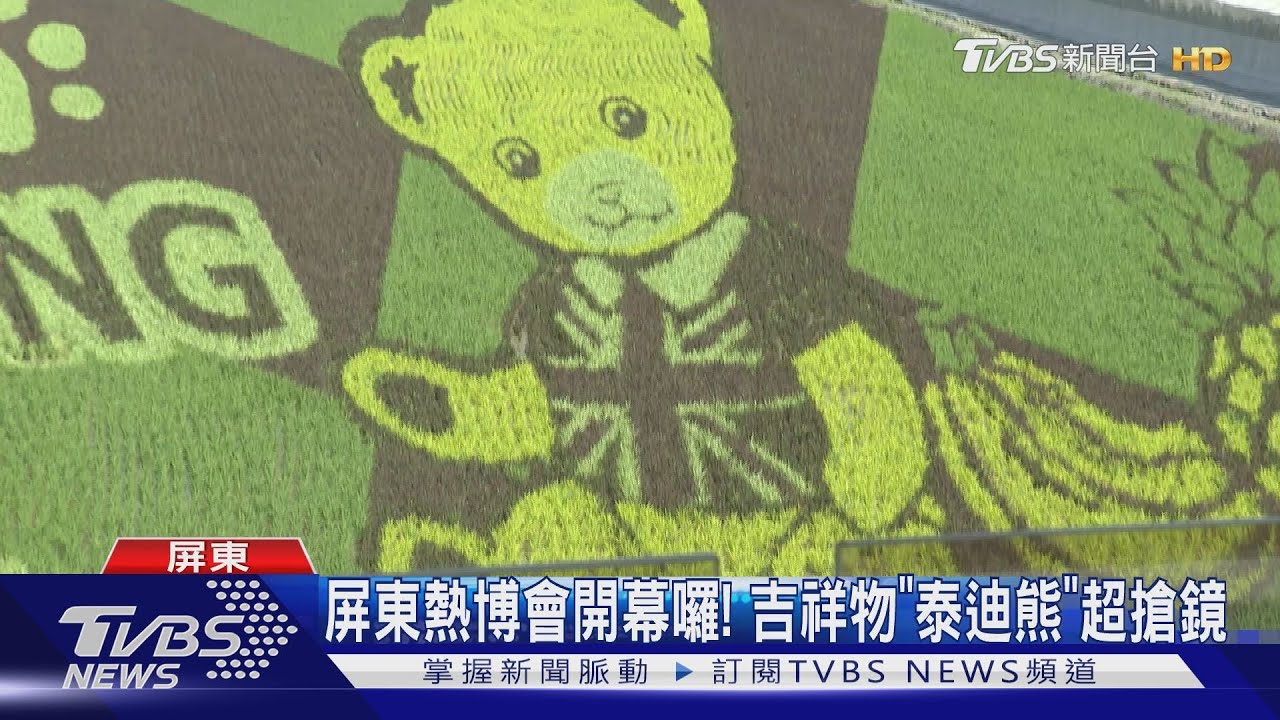 超萌!屏東熱博會開幕 彩繪稻田現放大版泰迪熊