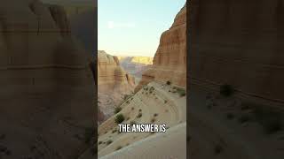 Training the Biggest AI It Takes Millions of Years!