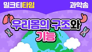[신나고 재미있게 배우는 과학] 6학년 2학기 4.우리 몸의 구조와 기능