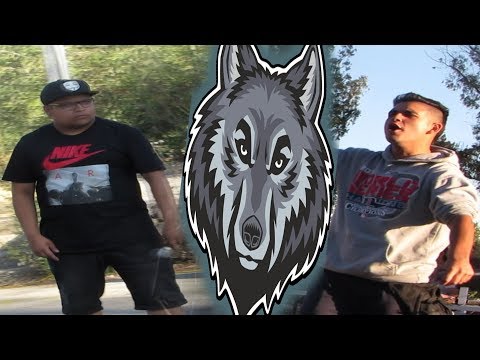 Retorno a placilla!! FINAL INESPERADA  - Vlog #4