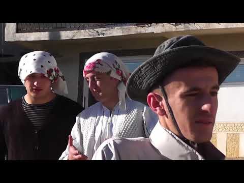 Humoristet Kercovar - Tergovia