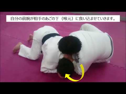 亀への十字絞め