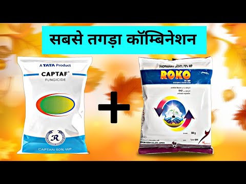 Best Fungicide combination | roko fungicide | captan Fungicide | captan 50 wp | thiophanate methyl