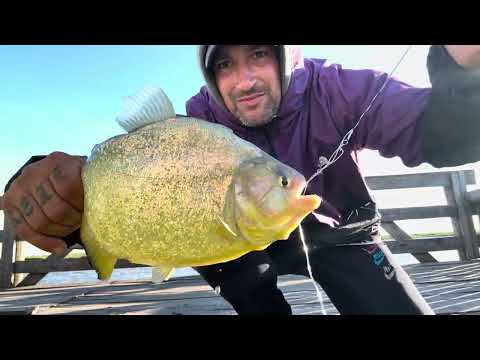 BARADERO PESCA DÍA Y NOCHE EN UNO DE LOS LUGARES MÁS CONOCIDOS DE BUENOS AIRES #pesca #fyp 