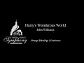 Harry's Wonderous World - John Williams, arr. by Paul Lavender (LIVE)