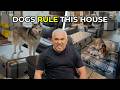 These Families Were Losing Control Until Cesar Arrived Better Human Better Dog S02E09