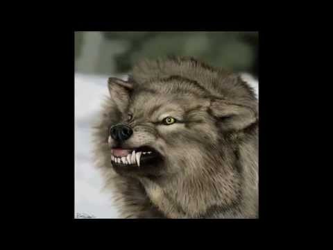 Henka One - Hörst du die Wölfe?