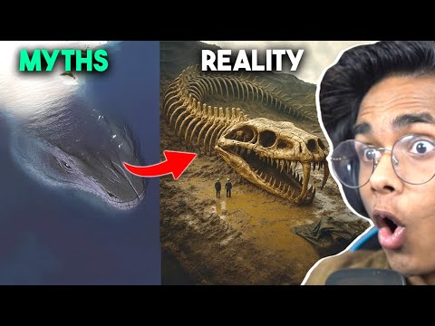 Mythical Creatures That Really Existed