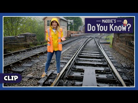 How do Train Tracks work?🛤️Maddie's Do You Know👩