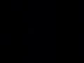 Cats Super Slowed 1 Hour