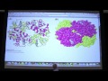 #05 Biochemistry Protein Tertiary/Quaternary Structure Lecture for Kevin Ahern's BB 450/550