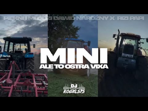 PIĘKNI I MŁODZI DAWID NAROŻNY X RIZI PAPI - MINI ALE TO OSTRA VIXA (ROGAL575 MASHUP)