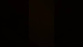 Out the hood gunna parody