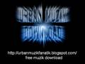 snowgoons - gunz.wmv
