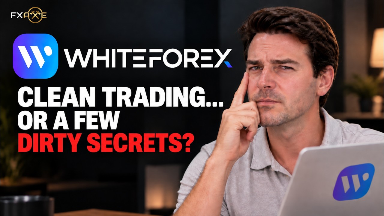 White Forex Looks Perfect for New Traders. Is It?