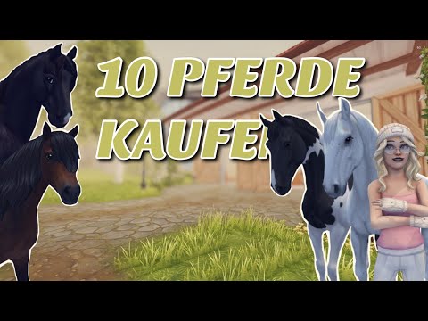Ich KAUFE mir 10 PFERDE 🐎🤑 / XXL Pferdekauf / SSO
