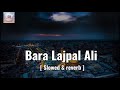Bara Lajpal Ali [ Slowed & reverb ] New Qasida