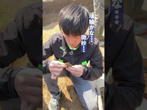 言語文化学科 【奈良大学 文学部 文化財学科】古墳発掘で発見時のリアクションは？ #奈良大学 #shorts #
