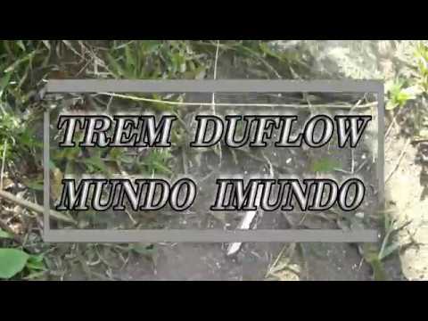Trem DuFlow  Mundo Imundo