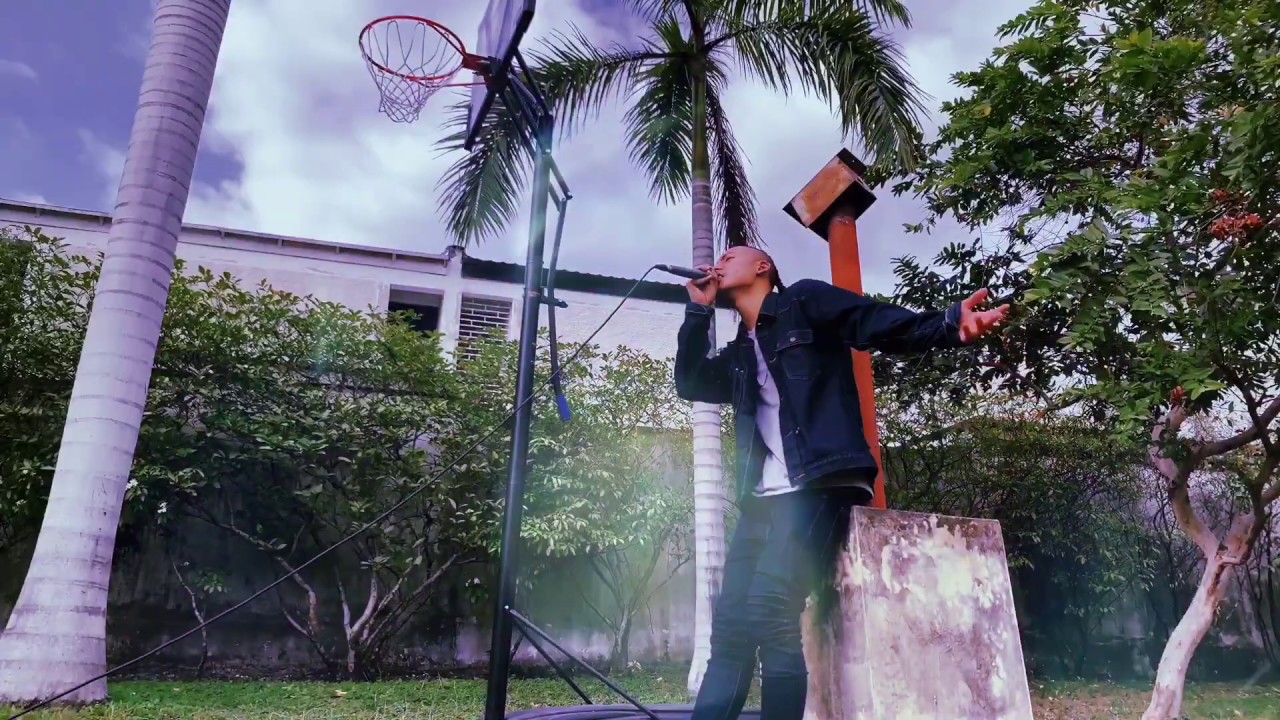 THE BLUE HEARTS -青空 (ZENDAMAN COVER)