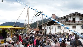 1. Mai - Maibaum-Aufstellen in Bayrischzell / Geitau (4k)