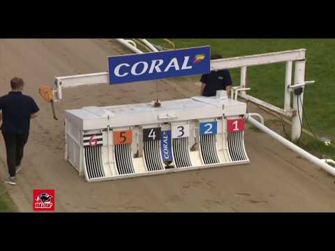 2019 BGBF Scurry Final - Signature Dancer