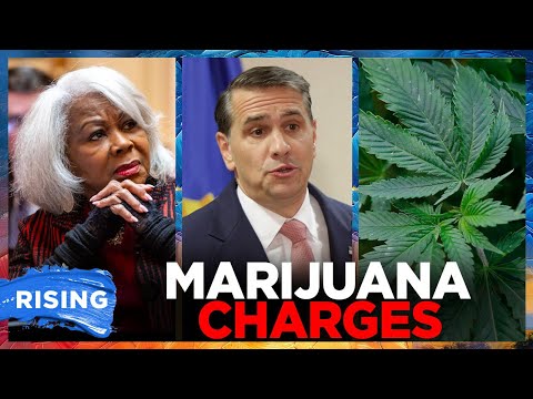The Hill: DEM state senator Louise Lucas CHARGED with TRAFFICKING marijuana | RISING